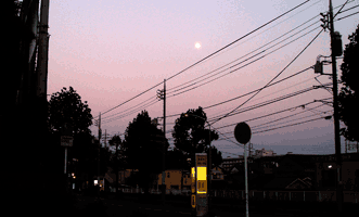 081013.gif